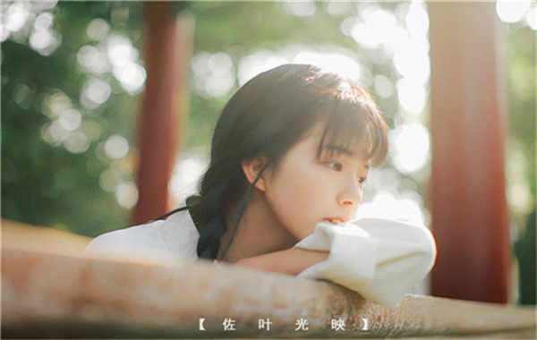 凤县胎儿性别鉴定需要多少钱(胎儿性别鉴定的方法)